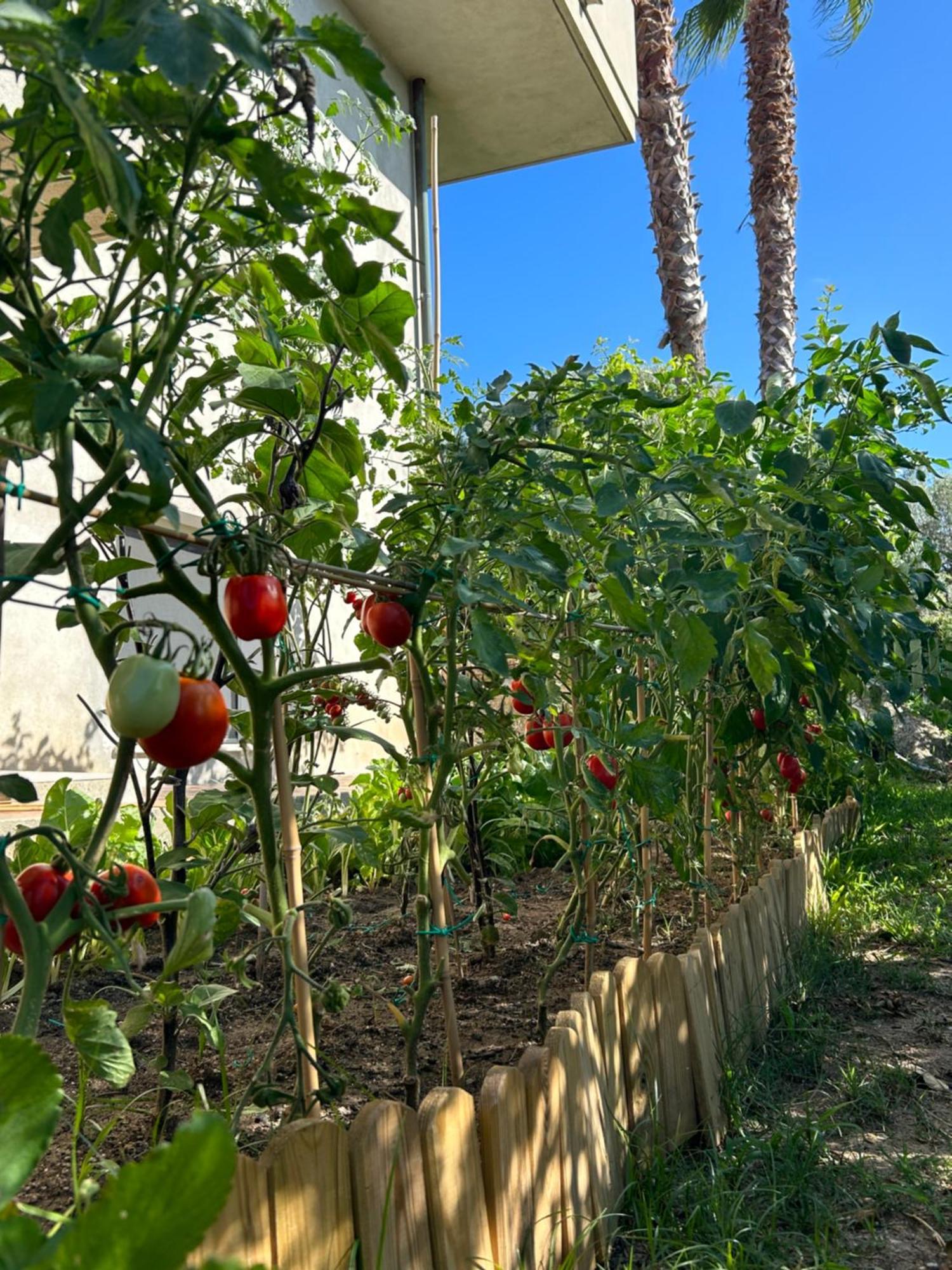 Alto Giardino Appartement Zambrone Buitenkant foto
