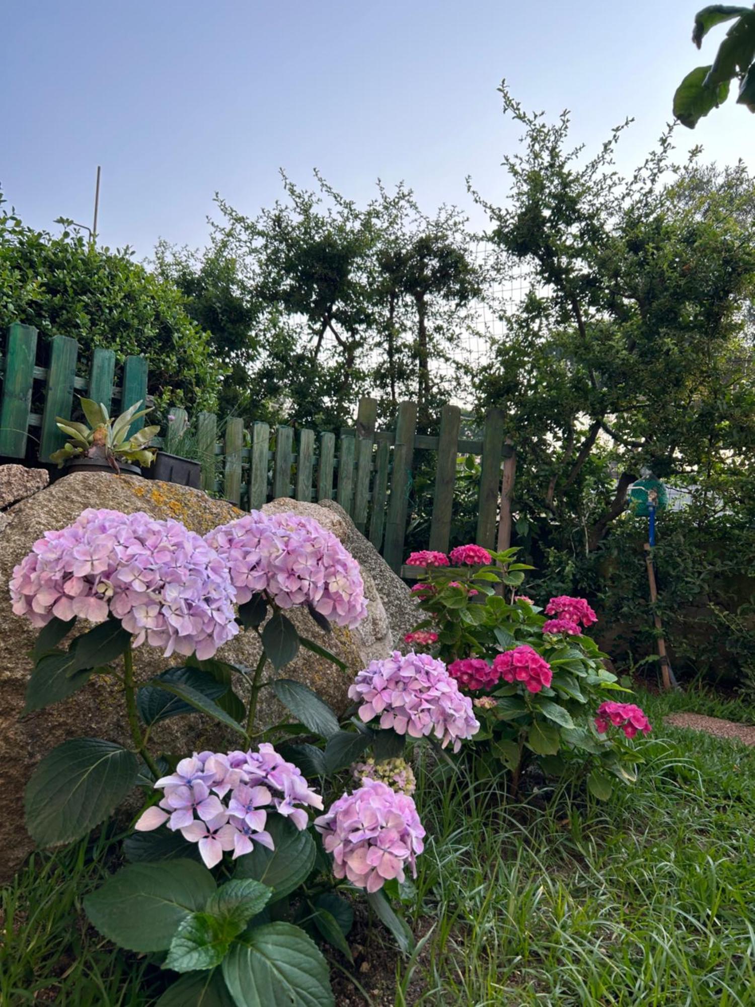 Alto Giardino Appartement Zambrone Buitenkant foto