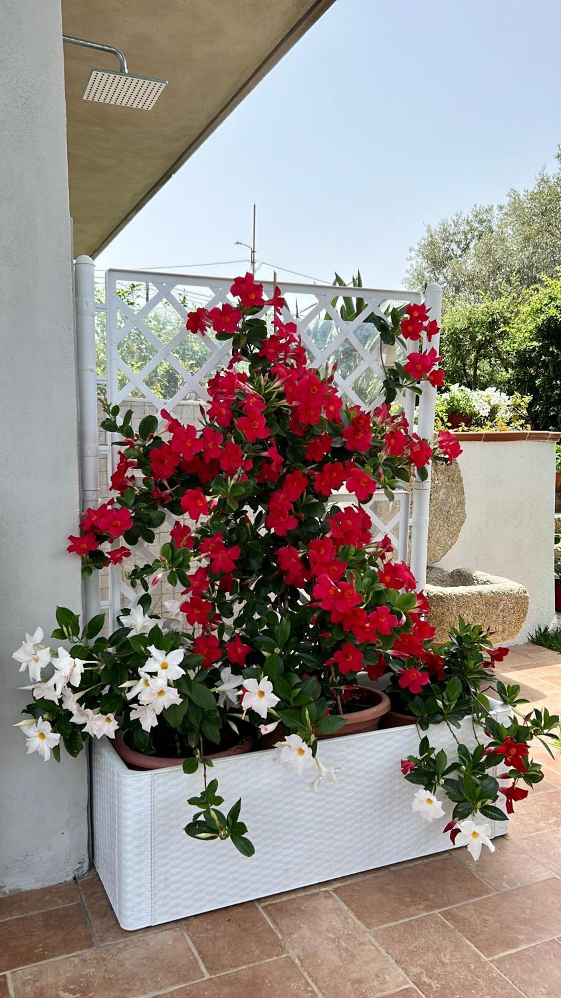 Alto Giardino Appartement Zambrone Buitenkant foto
